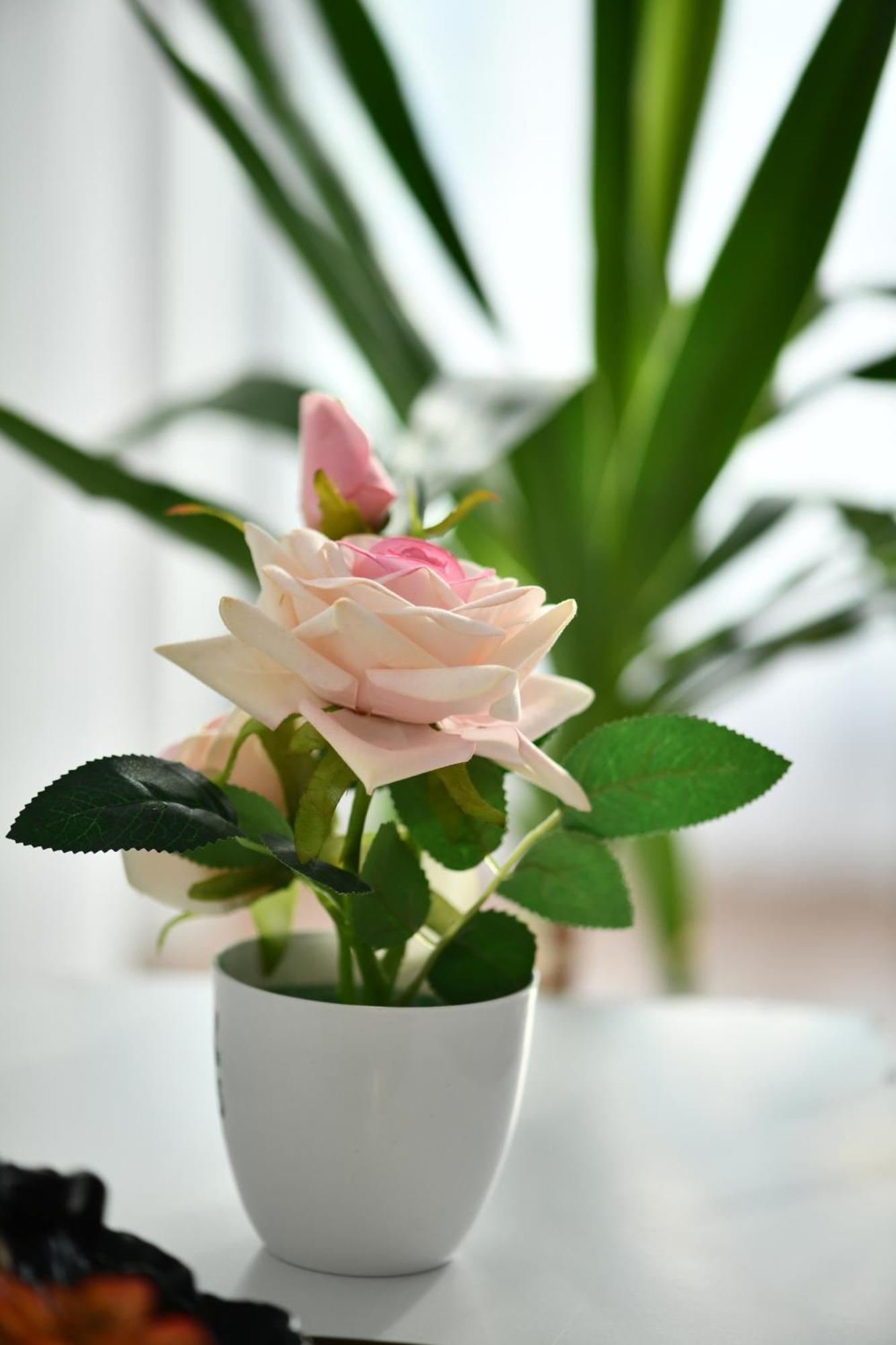 Msm-2 Apartment พริสตีนา ภายนอก รูปภาพ